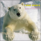 Polar Bears 2012 Wall Calendar